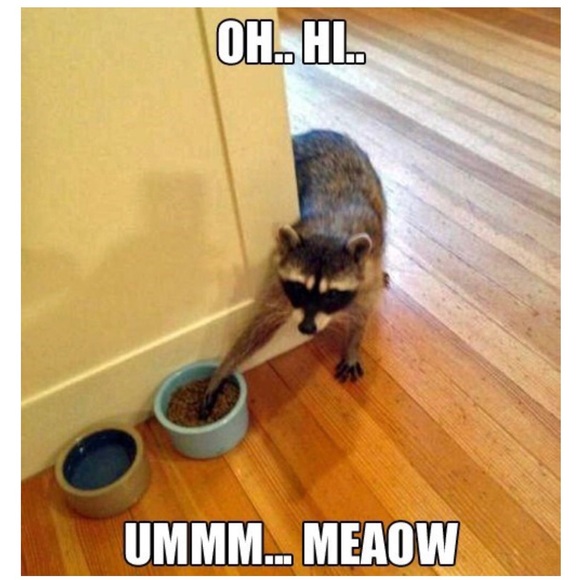 10% OFF BUNDLES!! - Picture 5 of 5